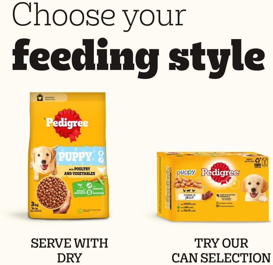 617nxlyVCyL._AC_SL1000_