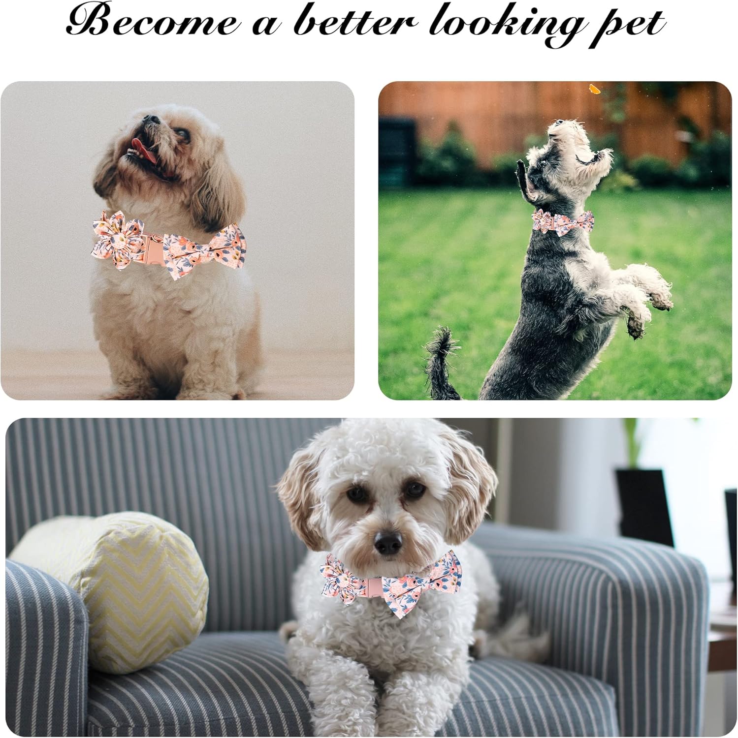 81xn+zX3jYL._AC_SL1500_