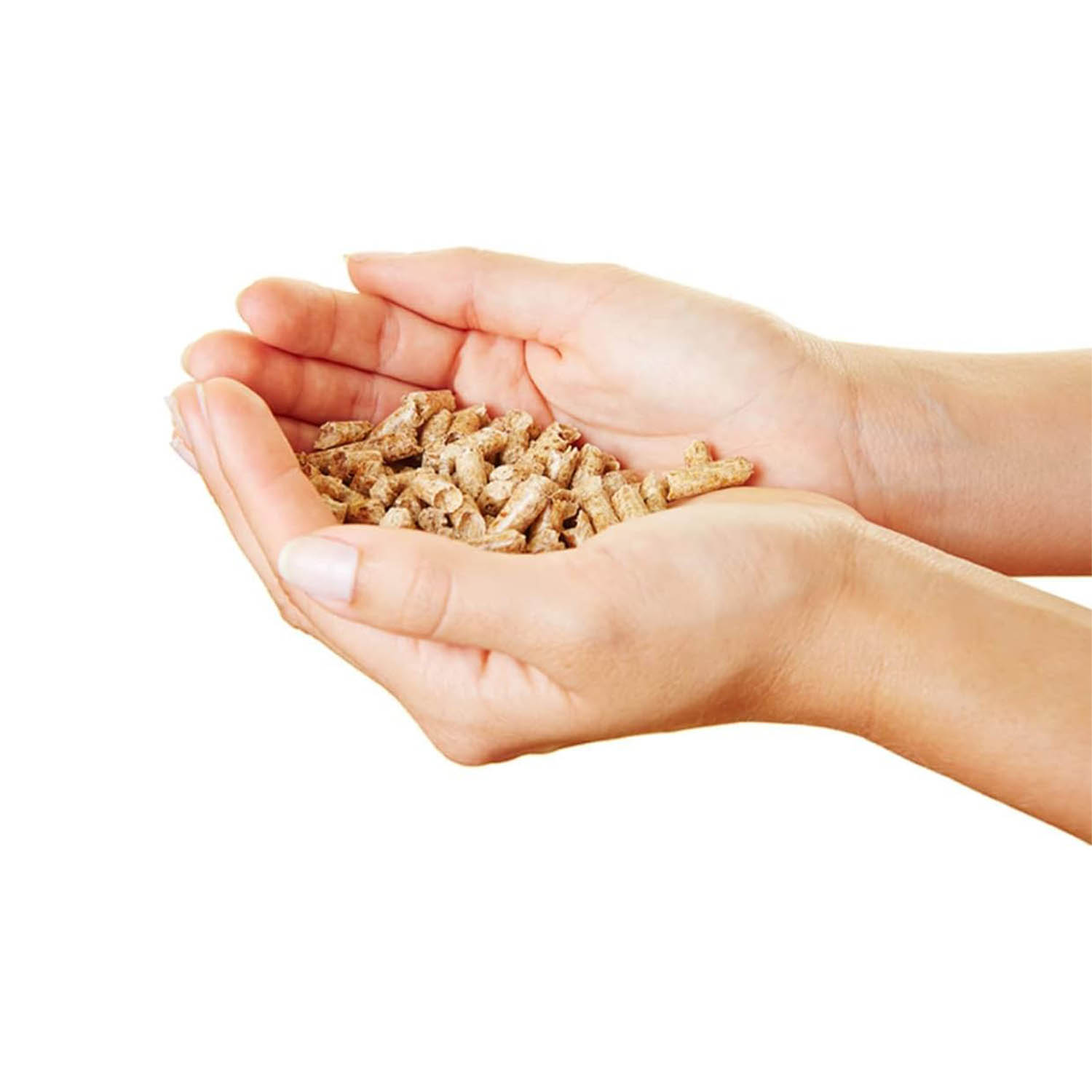 1_51RXcIilhtL._AC_SL1080_